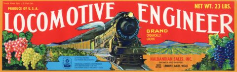 Locomotive Engineer